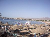 ���� �������