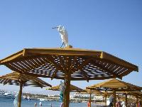 ����� �� �����