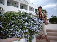 ���������� �����