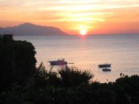 ������ ���� � �����