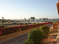 ���������� ��������� ����