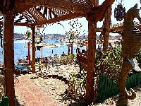 �������� ����