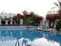 ������ �����