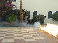 ������ �������