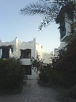 ������ �����