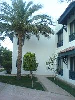 ��� ������ �����