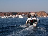 ������ � ����� ����-���-�����