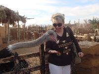 ������ ������...!!