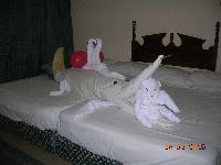 �������� ������� ������ ��� ��������