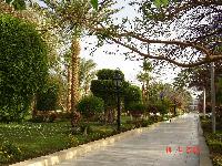 ����� � ����� �����