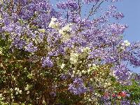 ����� � ����� �����