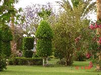 ����� � ����� �����