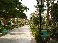 ����� � ����� �����