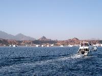 ������ � ����� ����-���-�����