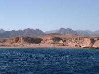 �����, ���� ����� �� ������� ��������