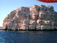 ������ �����