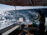 ������� ������ ��� �������