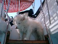 ������� �� �������