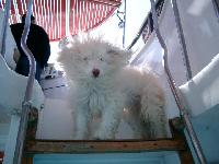 ������� �� �������