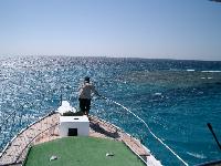 ������������ ����...