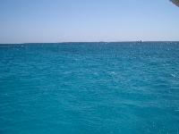 ������� ����