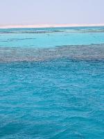 ������� - ����� ����