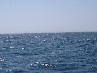 ���� ���������, ���, ...