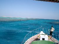 ��� �� ������� �����!