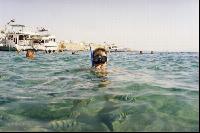 ����� �� ������� Ribok