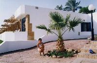 ���� �������