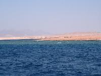 ��������� �����