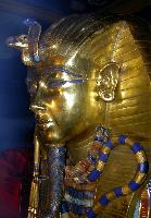 ���������� �����