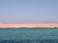 ��������� ������