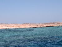 ������� ����