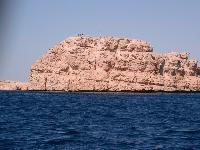 ���� � ������� ����