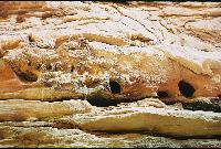 ���������� ������ � ����� - ������� ������