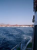 � ����� ������