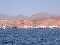 ����� � ����-���-�����