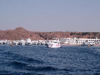 ������ � ����-���-�����