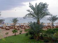 ���� ����� �������� � �����