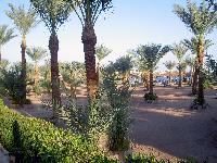 ���� ����� Hilton Fayrouz