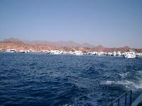 ��� �� ��������� ����������