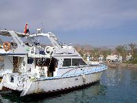 � ����� ������� �����