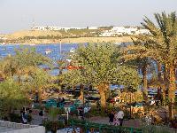 ��� �� ����� �� ����. ���-���