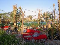 �������� � �����