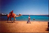 ������� � ������� ������� ��� ����?!!