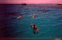 ������ �� �������� ����