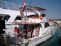 ���� ����