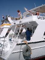 �� �������