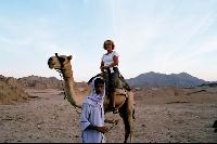 ����������� �� ���������